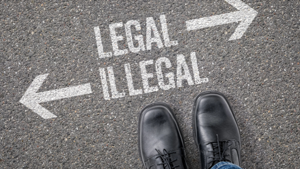 Immigration Law